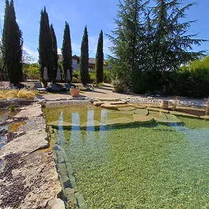 Puravida Appart's , Lagnieu France